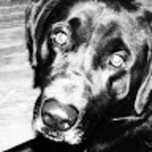 Meet your Posher, Krystal